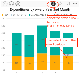Award Details Expenditure graph drill down
