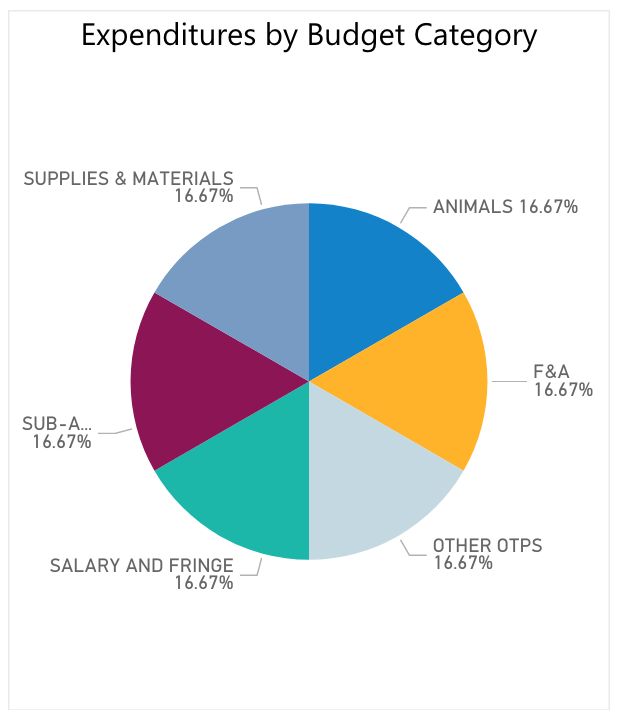 Expenditures by Budget Category Expenditures by Budget Category